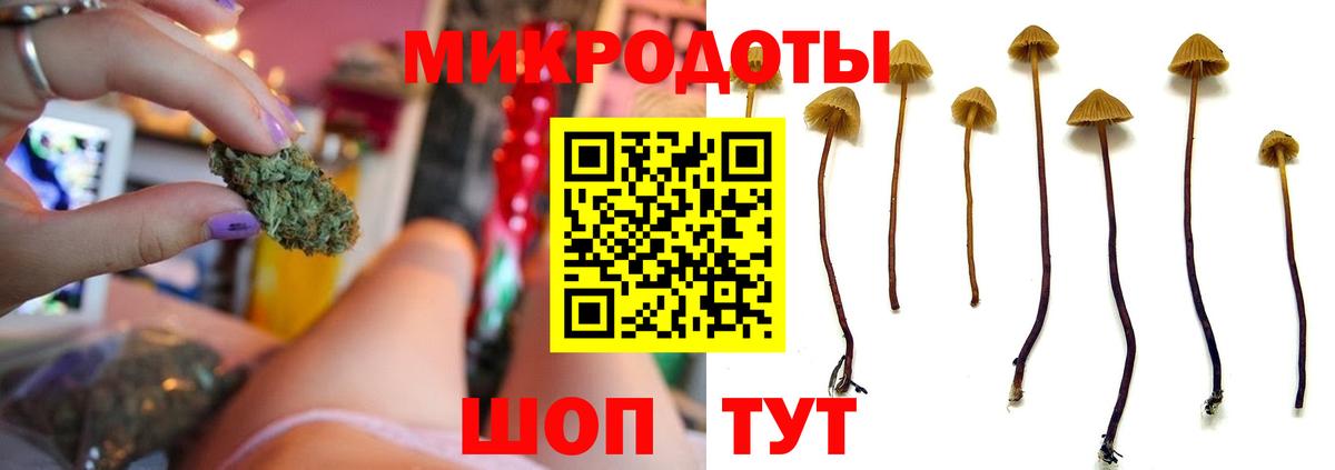 Чебаркуль  Псилоцибиновые грибы GOLDEN TEACHER  Галлюциногенные грибы мицелий  Вход с VPN 